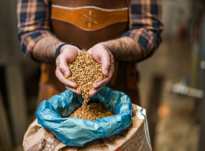 brassage de bières à Saint-Georges-sur-La-Prée près de Vierzon dans le Cher 18
