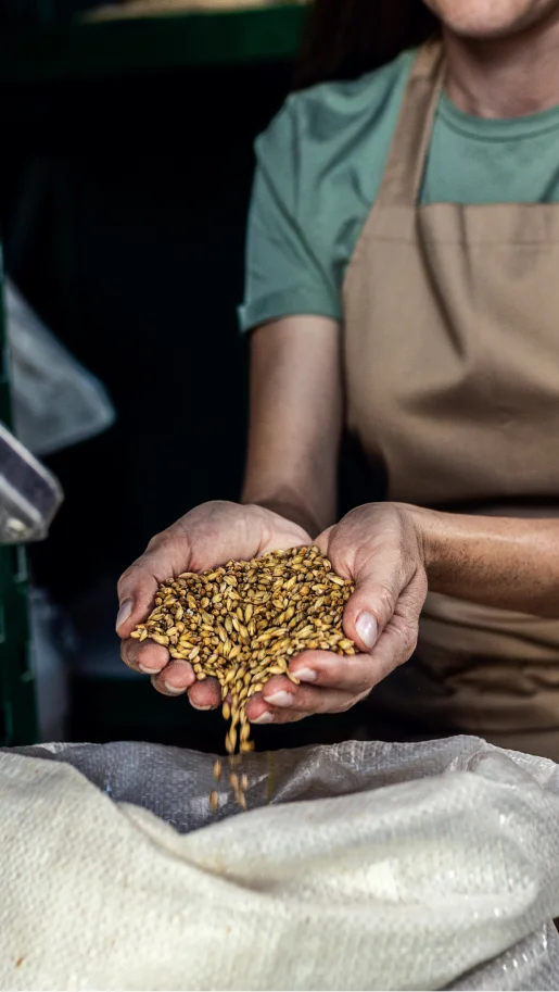 brassage de bières sur mesure à Saint-Georges-sur-la-Prée près de Vierzon dans le Cher (18)