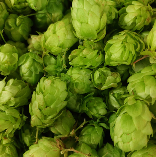 fabrication de bières à Saint-Georges-sur-la-Prée près de Vierzon dans le Cher 18